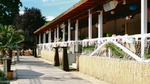 Picture 1 of Gesamtes Chamäleon am Chamäleon Beach