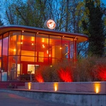 Bild 2 von Bistro Geckos