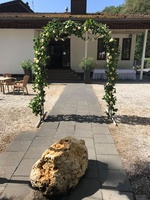 Bild 2 von Bonngarten