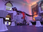 Bild 1 von Senckenberg Naturmuseum