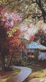 Bild 1 von Pavillon