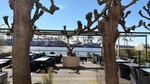Terrasse mit Elbblick