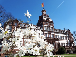 Bild 1 von Schloss Philippsruhe