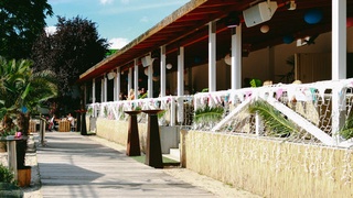 Picture 1 of Gesamtes Chamäleon am Chamäleon Beach