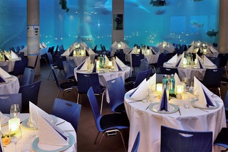 Bild 1 von Blauer Salon im Tiergarten