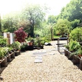 Bild 1 von Minoru Bonsai Center - Atelier in Neckargemünd - Ausstellung