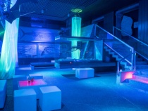 Bild 2 von Senckenberg Naturmuseum