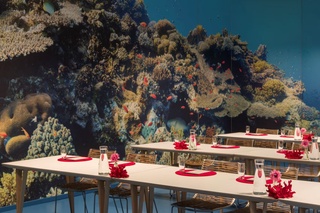 Picture 3 of Tagen und Feiern im DIORAMA des Übersee-Museums