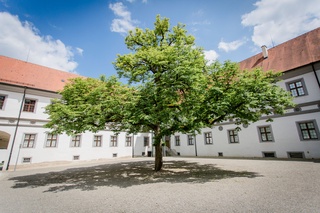 Picture 2 of Festsaal Schloss Meßkirch