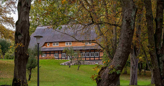 Bild 1 von Tagen und Feiern im Park am See
