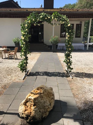 Bild 2 von Bonngarten