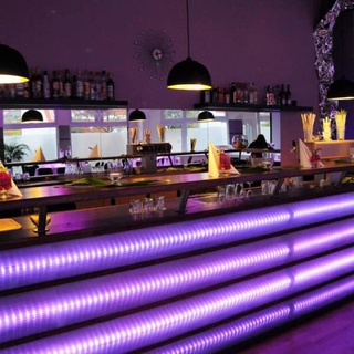 Violet-Lounge
