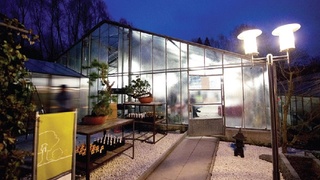 Bild 2 von Minoru Bonsai Center - Atelier in Neckargemünd - Ausstellung