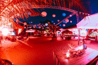 Picture 3 of Gesamtes Chamäleon am Chamäleon Beach