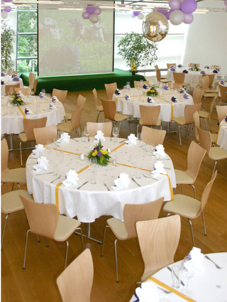 Bild 2 von Arche Noah Konferenzraum