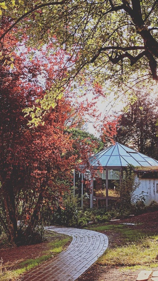 Bild 1 von Pavillon