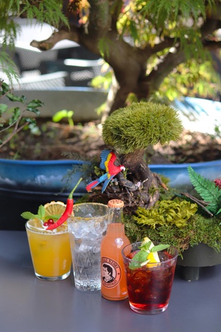 Cocktails