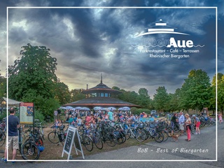 Bild 2 von Die RheinAue