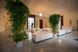 Bild 3 von Ballsaal