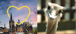Bild 2 von Aachener Tierpark - Zoo in Aachen